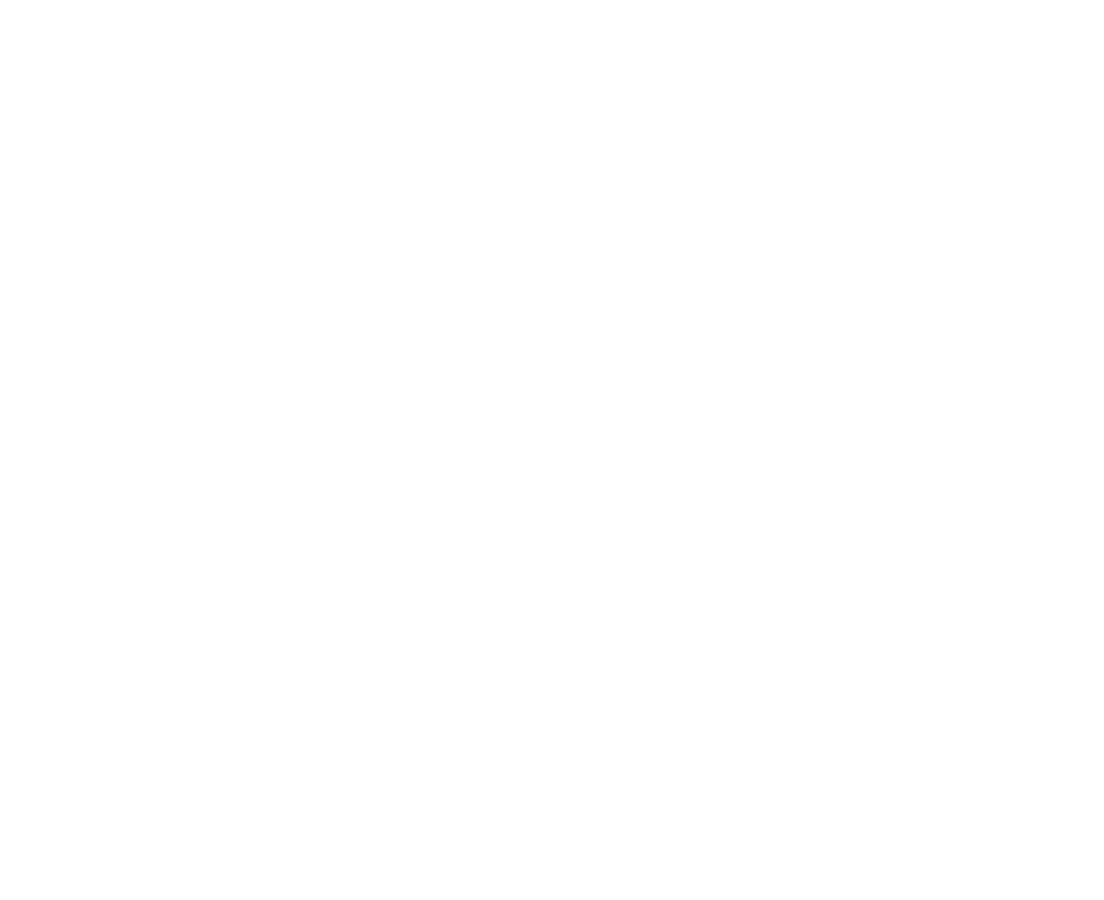 BHS GROUP